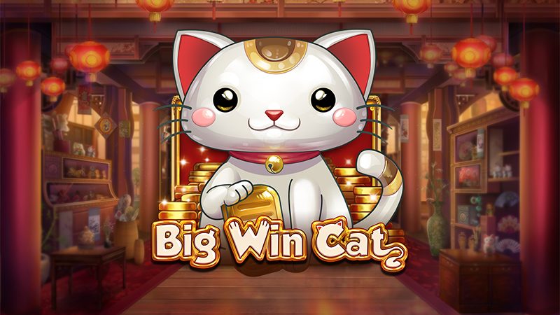 Big Win Cat