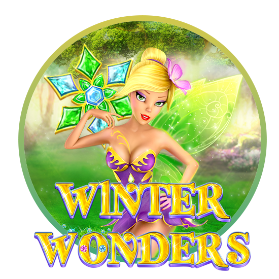 Winter Wonders