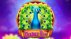 Double Fly