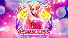 Wild Disco Night