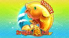 Dragon Koi