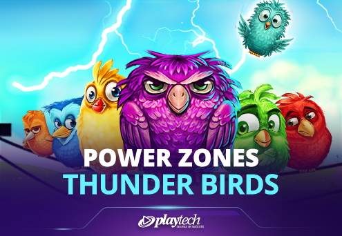 Power Zones: Thunder Birds