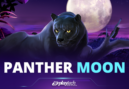 Panther Moon